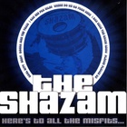 The Shazam - Here's To All The Misfits...