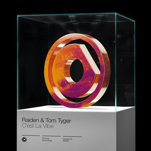 C'EST La Vibe (With Tom Tyger) (CDS)