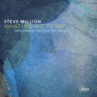 Steve Million - What I Meant To Say
