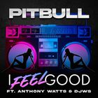I Feel Good (Feat. Anthony Watts & Djws) (CDS)