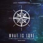 Lost Frequencies - What Is Love 2016 (Zonderling Extended Remix) (CDS)