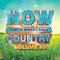 Morgan Wallen - Now That's What I Call Country Vol. 13