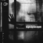 Synapscape - A Journey Through Concern