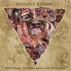 Roughly Excised - Putrefindings, Morbidescriptions And Necrognoses