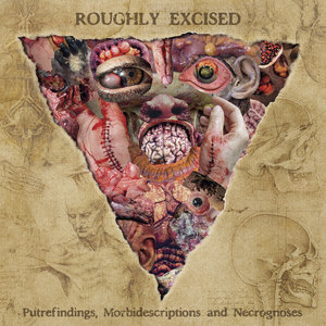 Roughly Excised - Putrefindings, Morbidescriptions And Necrognoses