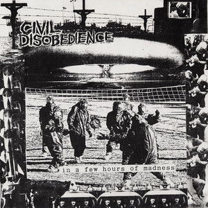 In A Few Hours Of Madness (VLS)