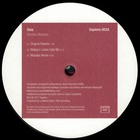 Domino Remixes (Vinyl)