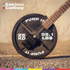 Eskimo Callboy - Pump It (CDS)
