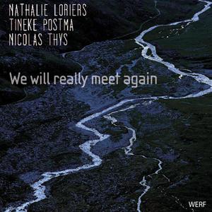 We Will Really Meet Again (With Tineke Postma & Nicolas Thys)