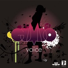 Voice - Gumbo