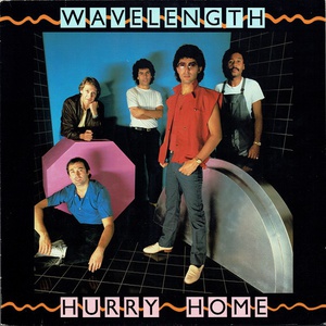 Hurry Home (Vinyl)