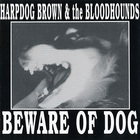 Harpdog Brown - Beware Of Dog (With The Bloodhounds)