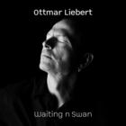 Ottmar Liebert & Luna Negra - Waiting N Swan