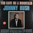 Johnny Bush - You Gave Me A Mountain (Vinyl)