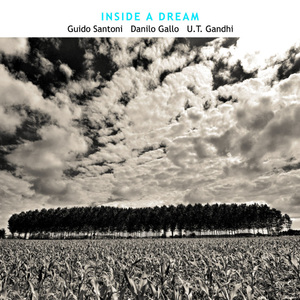 Inside A Dream (With Danilo Gallo & U.T. Gandhi)