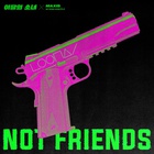 Not Friends (CDS)