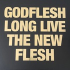 Godflesh - Long Live The New Flesh CD1