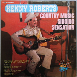 Country Music Singing Sensation (Vinyl)