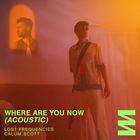 Lost Frequencies - Where Are You Now (Acoustic) (With Calum Scott) (CDS)