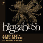BiggaBush - Acid Fly / This River (CDS)