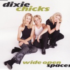 Dixie Chicks - Wide Open Spaces (VLS)