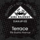 Terrace - 916 Buena Avenue (Vinyl)