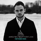 James TW - Butterflies (Toby Romeo Remix) (CDS)