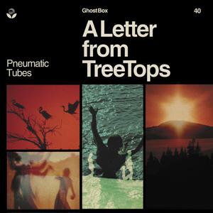 A Letter From Treetops