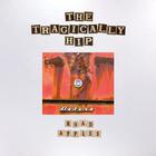 The Tragically Hip - Road Apples (Deluxe Version) CD2