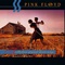 Pink Floyd - A Collection Of Great Dance Songs (Remastered)