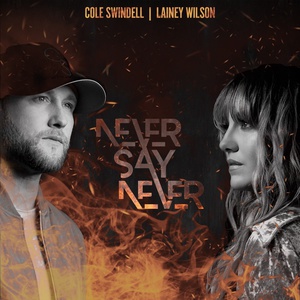 Never Say Never (Feat. Lainey Wilson) (CDS)