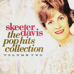 The Pop Hits Collection Vol. 2
