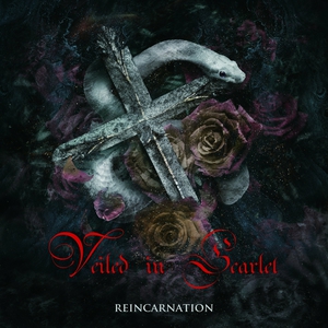 Reincarnation