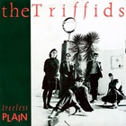 The Triffids - Treeless Plain (Expanded Version)