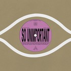 So Unimportant (Feat. Bon Iver) (CDS)