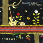 David Wildi Guitar Poetry - Endawin