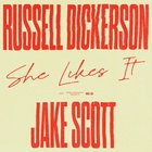 She Likes It (Feat. Jake Scott) (CDS)