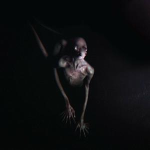 Opiate² (CDS)