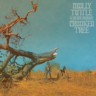 Molly Tuttle - Crooked Tree
