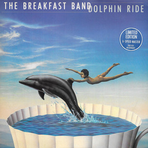 Dolphin Ride (Vinyl)