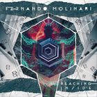 Fernando Molinari - Reaching Inside