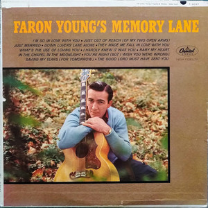 Memory Lane (Vinyl)