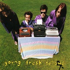 Young Fresh Fellows - This One's For The Ladies