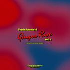 Ginger Root - Fresh Sounds Of Ginger Root Vol. 1