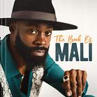 Mali Music - The Book Of Mali