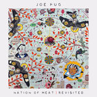 Joe Pug - Nation Of Heat (Revisited)