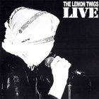 The Lemon Twigs Live