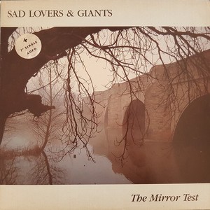 The Mirror Test (Vinyl)