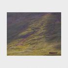 Music For A Small Shelter (With Desdemona Ensemble) (EP)