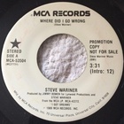 Steve Wariner - Where Did I Go Wrong (VLS)